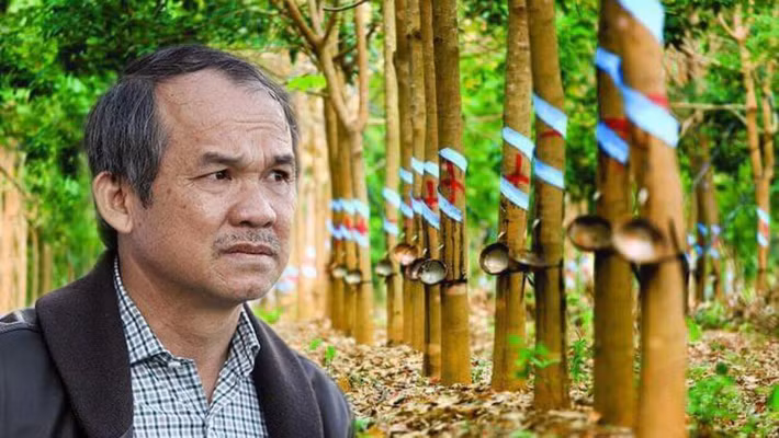 Tuy nhiên, con đường làm "nông dân" thời đại mới của bầu Đức không hề dễ dàng. Thời gian đầu, ông đặt cược vào đường, cao su, dầu cọ... với sự tự tin rằng giá của các mặt hàng này ở mức cao nên không thể “chết” được, nhưng kết quả thì hoàn toàn ngược lại. Ảnh: HAGL.