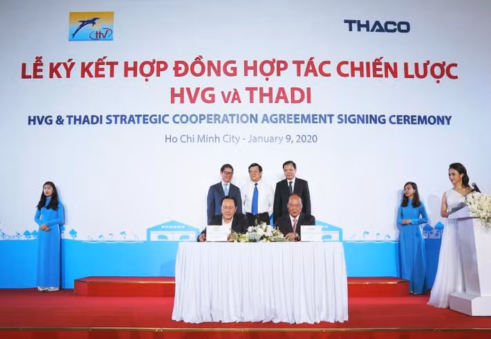 Đầu năm nay, THADI – công ty con phụ trách mảng nông nghiệp của THACO – dự kiến sẽ thành lập 1 số liên doanh sản xuất heo giống và thức ăn chăn nuôi. Bên cạnh đó, THADI còn dự kiến đầu tư chăn nuôi heo thịt theo tiêu chuẩn EFSA với quy mô 1,2 triệu con/năm. Ảnh: Bnews.