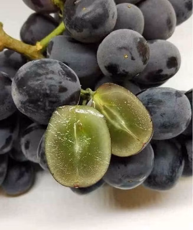 Do đó, người tiêu dùng nên lựa chọn kỹ để không mua phải nho Trung Quốc không rõ nguồn gốc xuất xứ gắn mác nho Ninh Thuận, làm ảnh hưởng đến đặc sản nho trong nước. Nguồn ảnh: Facebook