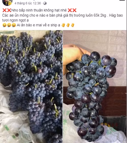 Thời gian gần đây, trên chợ mạng và nhiều chợ dân sinh ở Hà Nội bán nhiều loại nho đen không hạt với giá khá rẻ từ 45.000 - 65.000 đồng/kg.