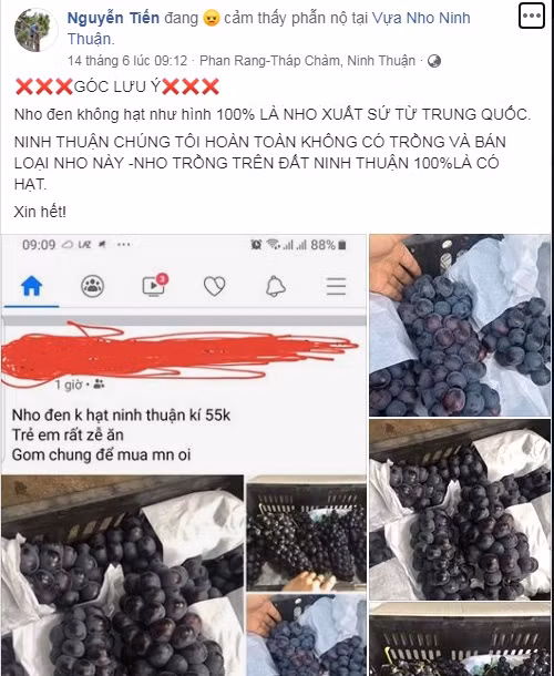 Trên trang cá nhân, tài khoản Facebook Nguyễn Tiến (Phan Rang, Ninh Thuận) không ngại bày tỏ sự bức xúc của mình khi thấy xuất hiện nhiều người bán quảng cáo nho xuất xứ Trung Quốc là nho Ninh Thuận.