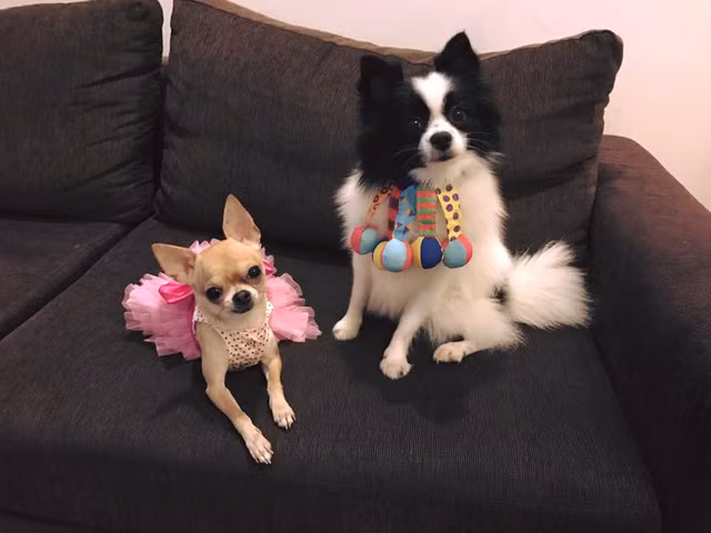 Sofa đen trên nền tường trắng giúp căn hộ trở nên sang trọng.