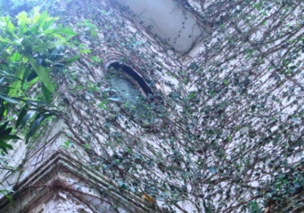 Căn nhà có nhiều dây leo như vậy là vì gia chủ muốn có một không gian thật yên tĩnh và gần gũi với thiên nhiên. Ảnh: Vietnamnet.