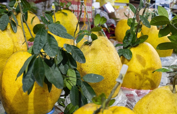 Người bán cho biết, bưởi Kỳ Đà một năm chỉ 1 vụ. Từ tháng 8 âm lịch bòng có màu xanh, đến tháng 10 chuyển màu vàng bắt mắt. Ảnh: Minh Đức/VTCNews