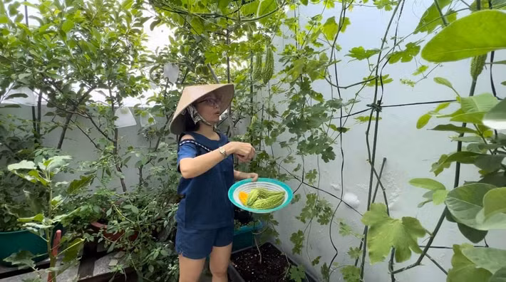 Trong khu vườn này, Cẩm Ly tự tay ươm mầm, trồng rau củ quả. Ảnh: FB Cẩm Ly