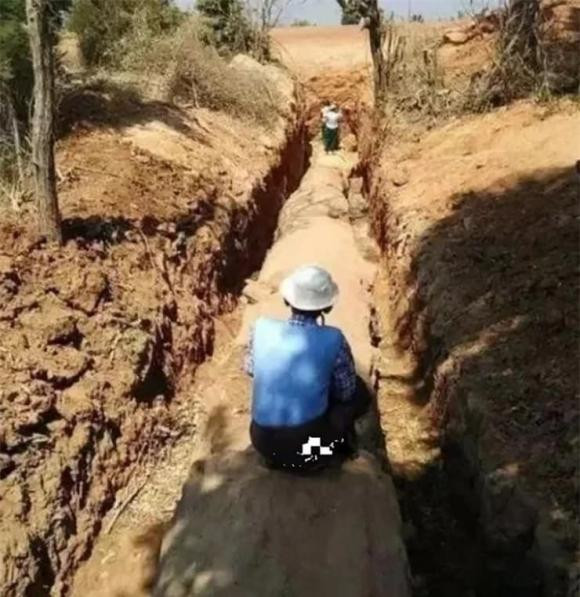 Cây gỗ quý hiếm dài khoảng 30,5m, chu vi 6m. Sau khi mời các chuyên gia tới thẩm định, họ khẳng định cây gỗ này có giá hơn 600 tỷ đồng. Ảnh: Internet