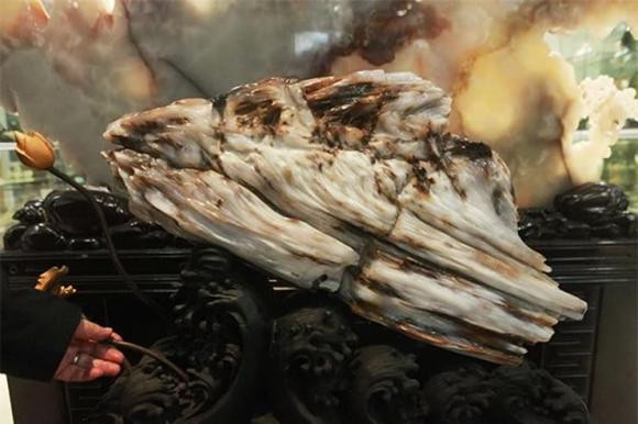 Hiện, gỗ hóa ngọc được tìm thấy ở rất nhiều nơi trên thế giới. Tại Việt Nam gỗ hóa ngọc được tìm thấy tại Lan Sơn, Tây Nguyên, Phú Yên... và được giới đại gia yêu thích, sưu tầm. Ảnh: Internet