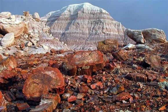 Quá trình hình thành gỗ hóa ngọc cần nhiều thời gian và cũng cần có những điều kiện nhiệt độ thuận lợi mới có thể hình thành. Ảnh: Internet