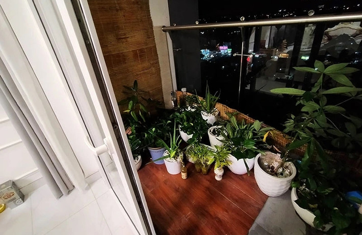 Ban công đặt nhiều chậu cây xanh. Ảnh: Vietnamnet