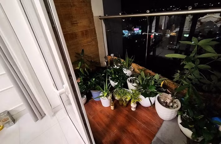 Ban công đặt nhiều chậu cây xanh. Ảnh: Vietnamnet