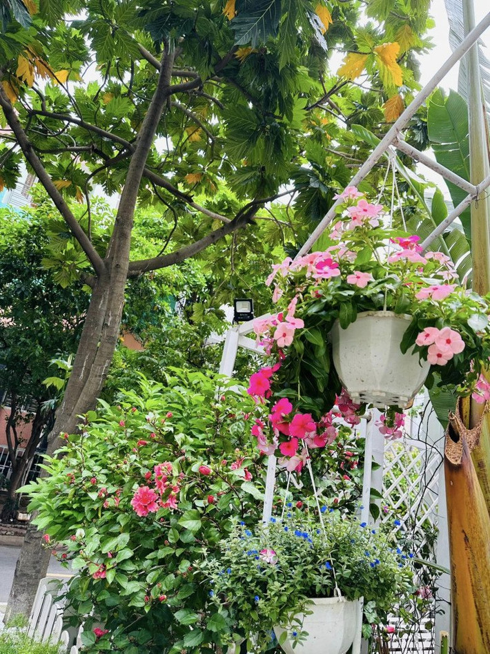 Hoa giăng khắp lối. Ảnh: FBNV