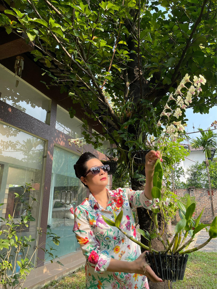 Thanh Thanh Hiền trồng nhiều lan trong vườn. Ảnh: Vietnamnet