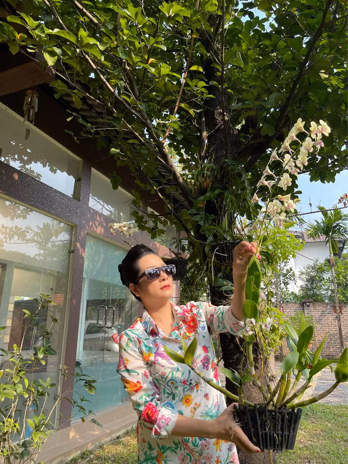 Thanh Thanh Hiền trồng nhiều lan trong vườn. Ảnh: Vietnamnet