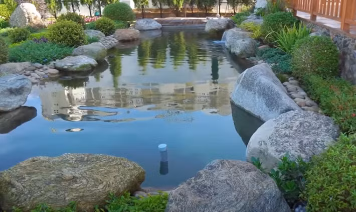 Phía trước ngôi nhà là một hồ nước thiết kế đẹp mắt.