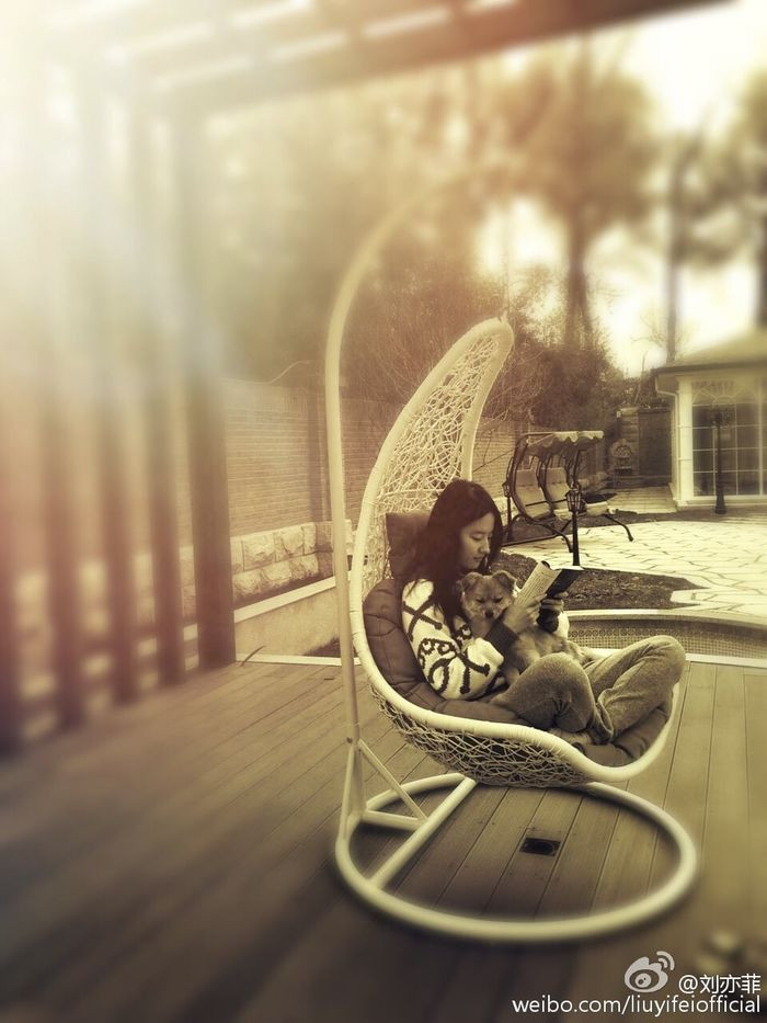 Nhiều người cho rằng nữ diễn viên muốn xây dựng phòng karaoke, phòng ballet,... đều được. Ảnh: Weibo