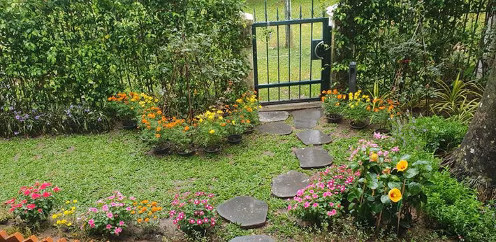 Phía ngoài biệt thự là khoảng sân vườn xanh mướt mắt. Ảnh: Giadinhnet