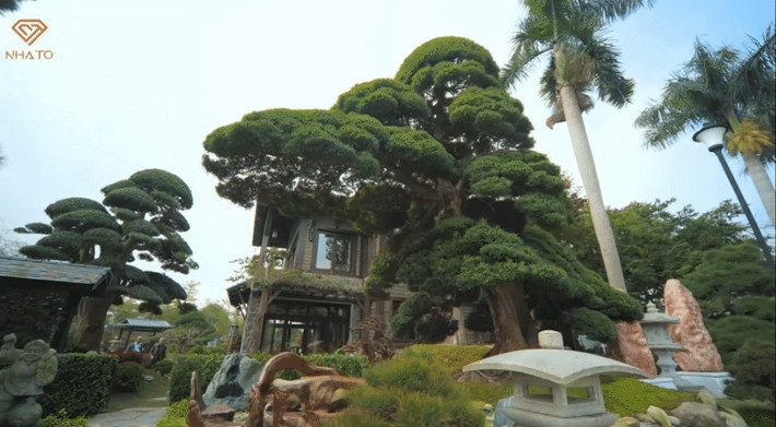 Trước nhà có một cây cổ tỏa bóng mát và một bộ bàn ghế bằng đá để ngồi nghỉ ngơi. Ảnh chụp màn hình NhaTo