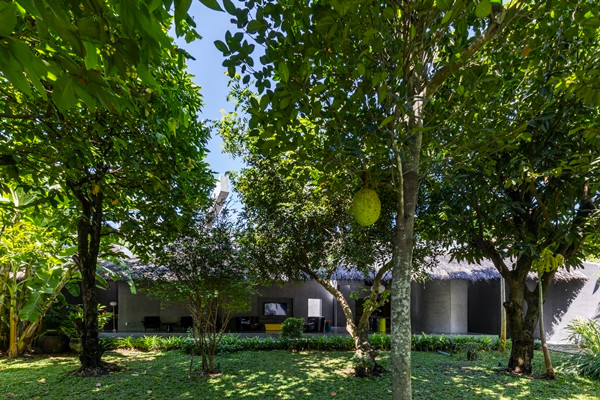 Nhìn qua khu vườn nhỏ, căn nhà có phần mái tranh khá "lụp xụp". Ảnh: Oki Hiroyuki