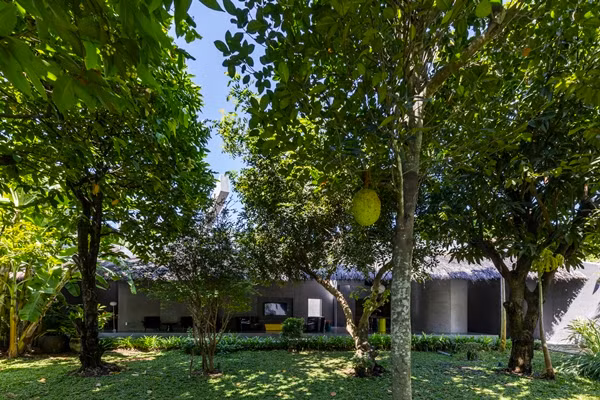 Nhìn qua khu vườn nhỏ, căn nhà có phần mái tranh khá "lụp xụp". Ảnh: Oki Hiroyuki