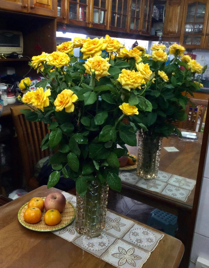 Hoa hồng vàng rực rỡ. Ảnh: FB Nguyễn Minh Vượng