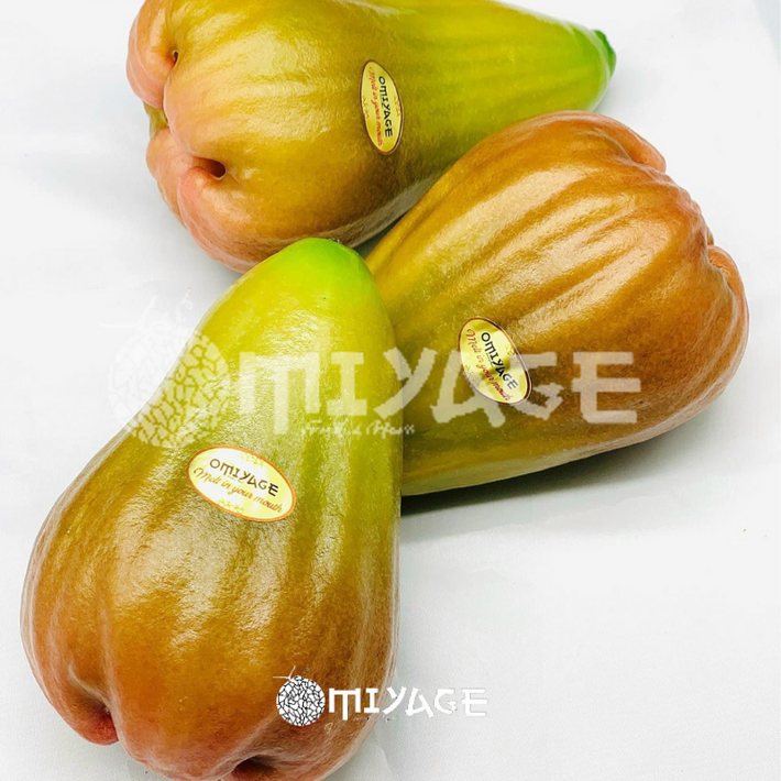 Mỗi quả roi nặng từ 250 - 350gr, giá khoảng 1 triệu đồng/kg. Tính ra, mỗi quả roi có giá khoảng 250.000 - 350.000đ tùy trọng lượng. Ảnh: Omiyage