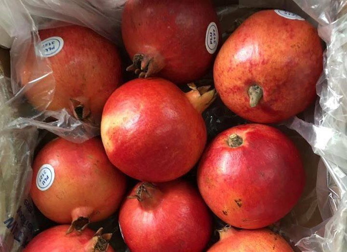 Lựu khổng lồ có giá gần 500.000đ/kg, được bán nhiều tại các siêu thị và cửa hàng chuyên kinh doanh trái cây nhập khẩu ở Hà Nội và TP.HCM. Ảnh: Facebook