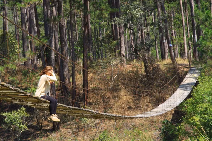 Được biết, cầu treo La Bá tọa lạc tại phường Xuân Thọ, nằm cách trung tâm thành phố Đà Lạt khoảng 12km. Để tới được cây cầu treo cực đẹp này, các bạn đi theo QL20 hướng đồi chè Cầu Đất. Qua nhà thờ Đa Lộc và tới Thác Hang Cọp rồi tới 10 km là bạn sẽ thấy cây cầu này.