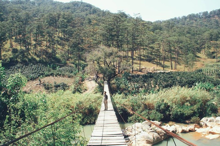 Chỉ với một vài bức ảnh đẹp ảo diệu xuất hiện trên Facebook, cây cầu treo tên La Bá ở Đà Lạt đã khiến 500 anh em, đặc biệt là dân xê dịch tỏ ra vô cùng phấn khích.