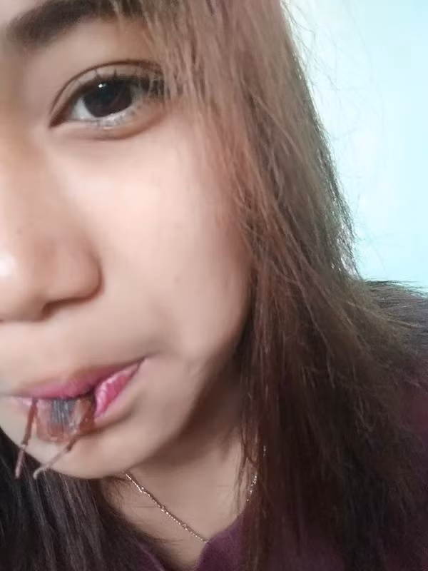 Khi thử thách đặt gián lên mặt chụp ảnh lan rộng, nhiều người nhận xét thử thách này thật ngu ngốc và kinh dị vì gián không phải là loài sinh vật sạch sẽ gì nhưng họ lại đặt chúng lên mặt.