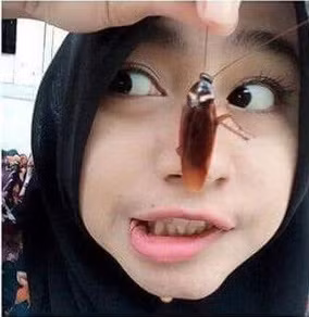 Cụ thể, vào ngày 20/4 vừa qua, một tài khoản Facebook tên Alex Aung đã đăng tải bức ảnh selfie với một con gián trên mặt với dòng chú thích: "Thử thách mới. Bạn có dám làm điều này không?".