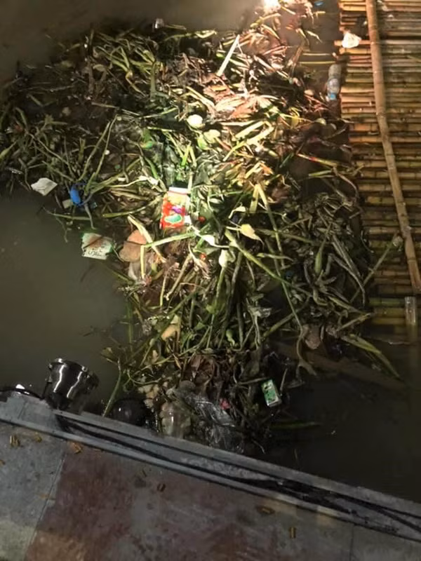 Đa phần mọi người đều tỏ ra bức xúc trước hành động kém ý thức của người phụ nữ này khi cho đàn thiên nga ăn bánh mì que.