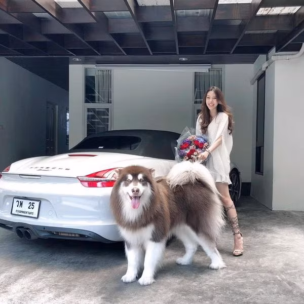 Xinh đẹp, giàu có, mỗi ngày đi một siêu xe chính là điều mà hot girl Thái Lan có tên Varenithi Bubee Kanpaibool đang gây sốt MXH.