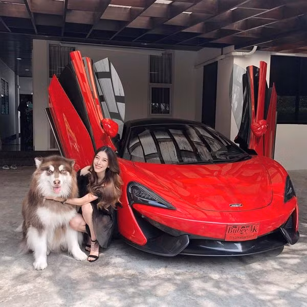 Thổ lộ trên trang cá nhân, Varenithi Bubee Kanpaibool cho biết dù rất cưng chiếc Porsche Boxster được tặng nhưng hot girl 9X Thái Lan này lại đam mê với dòng xe Lamborghini, đây cũng là thương hiệu xe mà cô yêu thích từ bé.