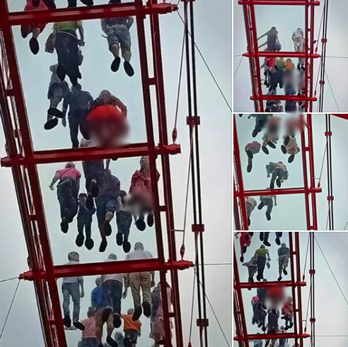 Mới đây, trên MXH, thành viên có tên Đ.T. đã đăng tải loạt ảnh chụp lén người đi trên cầu kính Mộc Châu từ dưới lên.