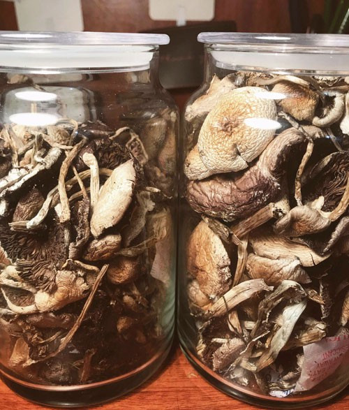 Dù nằm trong danh sách loại chất cấm nguy hiểm nhưng nhiều người vẫn lén lút buôn bán nó. Được biết, chỉ một cọng nấm nhỏ cũng có giá lên tới vài trăm ngàn đồng và được chuyển tận tay người dùng.