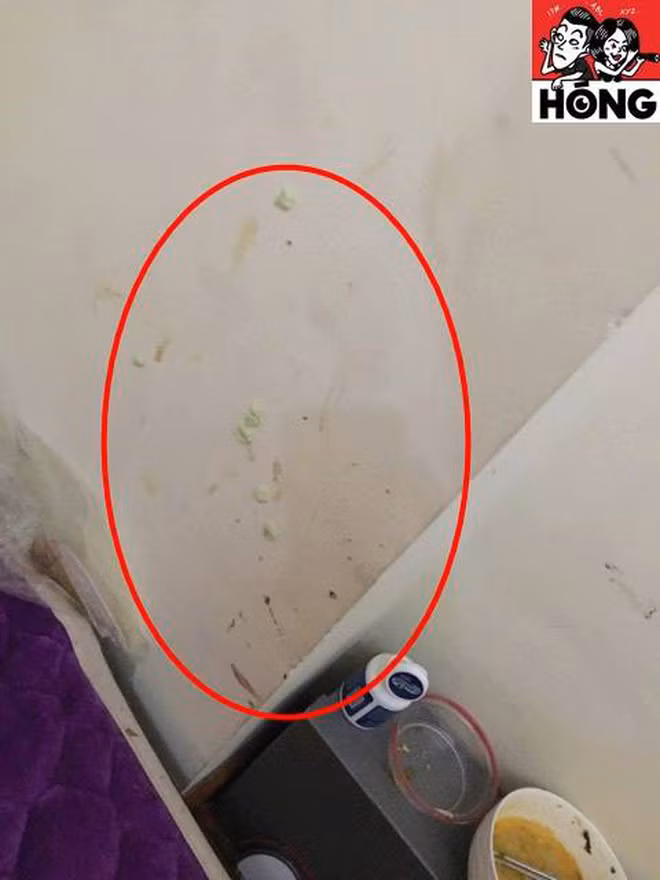 Chuyện sẽ chẳng có gì đáng nói nếu như cô nàng này nay không sở hữu tật xấu là bừa bộn và ở bẩn đến kinh hoàng. Cụ thể, 2 tháng quần áo chất thành đống không hề giặt, đổ bẩn thay ra vứt tung tóe trong phòng vệ sinh.