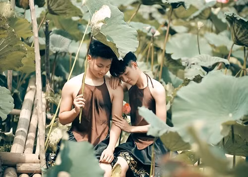 Ngay khi đăng tải, những tấm hình đã nhận được nhiều quan tâm, bình luận trái chiều từ người dùng mạng. Một số ý kiến cho rằng bộ ảnh "không toát lên được vẻ đẹp gì của hoa sen", hay chụp như vậy là phản cảm