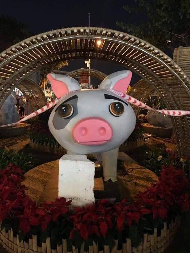 Tết 2019 theo âm lịch sẽ là năm Kỷ Hợi vì vậy, những chú heo mô hình đã được dựng lên và biểu cảm của những chú linh vật này đã được dân mạng ghi lại.