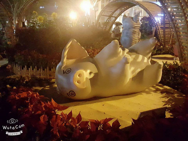 Chỉ vì đứng quá lâu nên chú heo này đã tranh thủ ngả lưng trước khi tiếp tục đứng làm mẫu để người dân chụp ảnh.