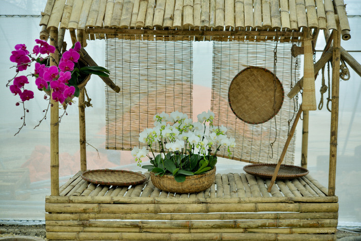 Một địa điểm bày hoa tại lễ hội hoa tại Ninh Bình đã được bài trí sẵn sàng đón khách.