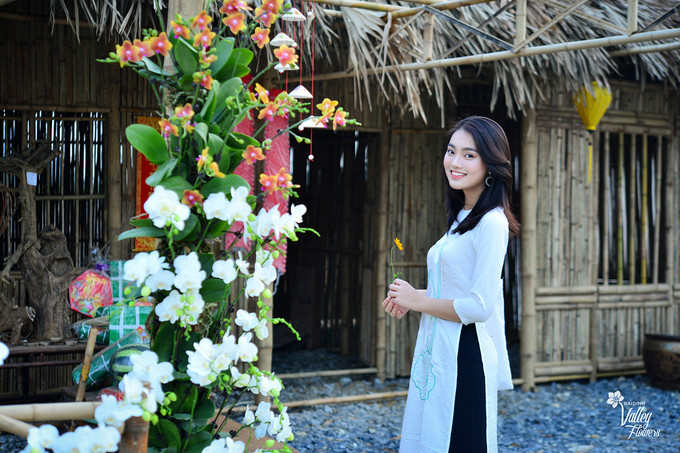 Thung lũng hoa sẽ đón khách từ 7h đến 17h, mồng 1 Tết Kỷ Hợi (5/2) đến hết Rằm tháng Hai (20/3). Giá tham quan cho một người lớn là 50.000 đồng, trẻ em mua vé giá 30.000 đồng.