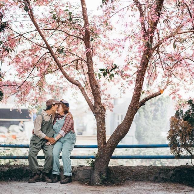 Dù đã đi gần hết quãng đời, nhưng vẫn còn có một người ngồi bên mình, ôn lại những gì mình đã làm được cùng nhau hồi còn trẻ rồi bất giác mỉm cười nhìn nhau... Hạnh phúc ở cái tuổi "gần đất xa trời" chỉ đơn giản có thế thôi.