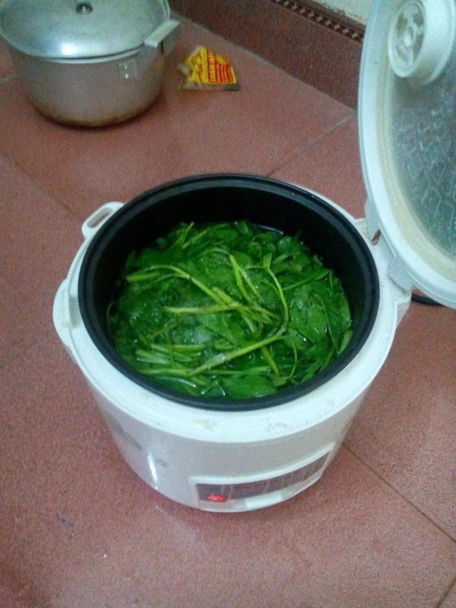 Luộc rau bằng nồi cơm điện, chỉ có đời sinh viên bạn mới được nếm thử.