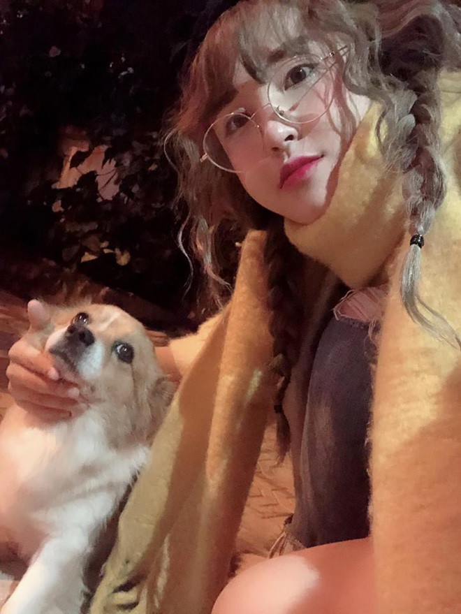 Chia sẻ trên trang cá nhân Bích Châu cho biết đêm ngày 2/1, cô đi ăn đêm với bạn. Lúc về thì con chó nó cứ đi tưởng nhầm là chủ. Cô bạn này cố đi lòng vòng để xem có ai lạc chó không mà chẳng ai nhận. Vậy nên Châu đành đứng ôm con chó lúc lâu xong gọi xe đi để dễ tìm hơn. Bên cạnh đó, cô bạn này cũng đăng lên vài group để tìm chủ cho chó.