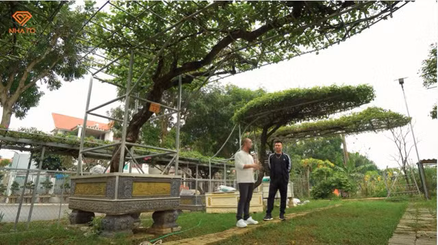 Gia chủ thích gần gũi với thiên nhiên nên đã thiết kế nhiều khoảng để trồng cây, trưng bày cây bonsai ở xung quanh nhà.