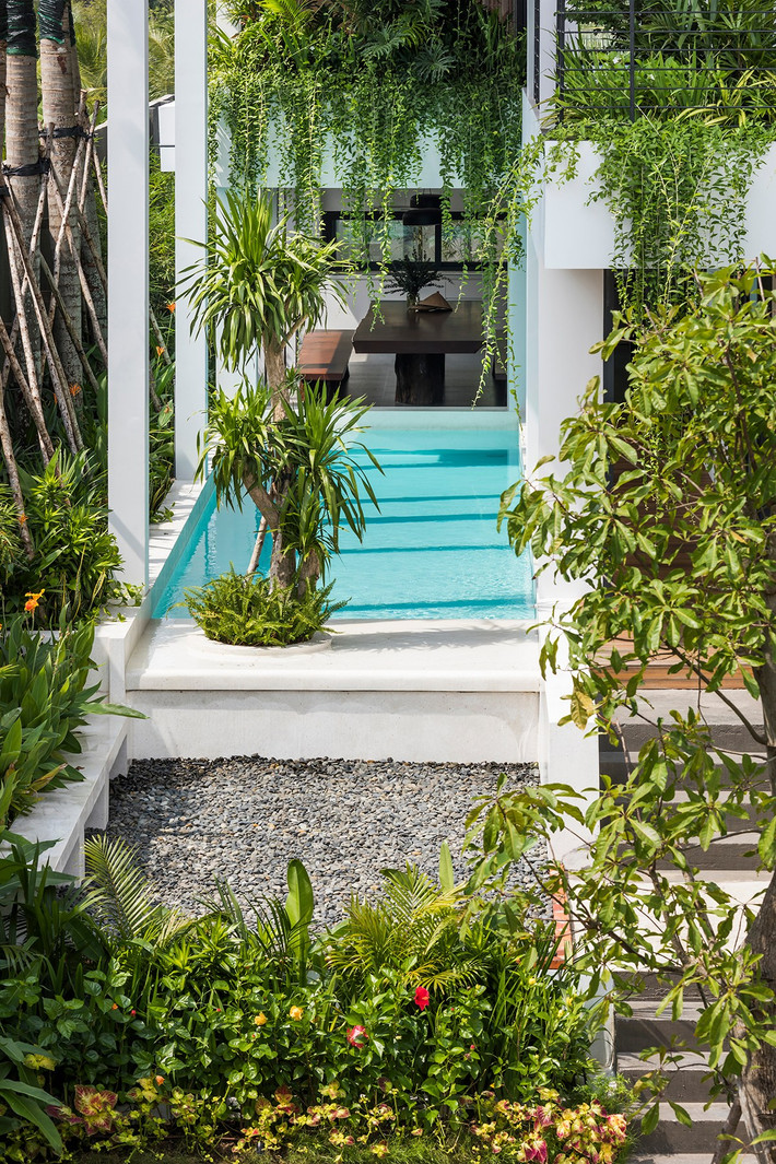 Dọc theo chiều dài nhà là bể bơi lớn được bố trí cùng mảng cây xanh cao.