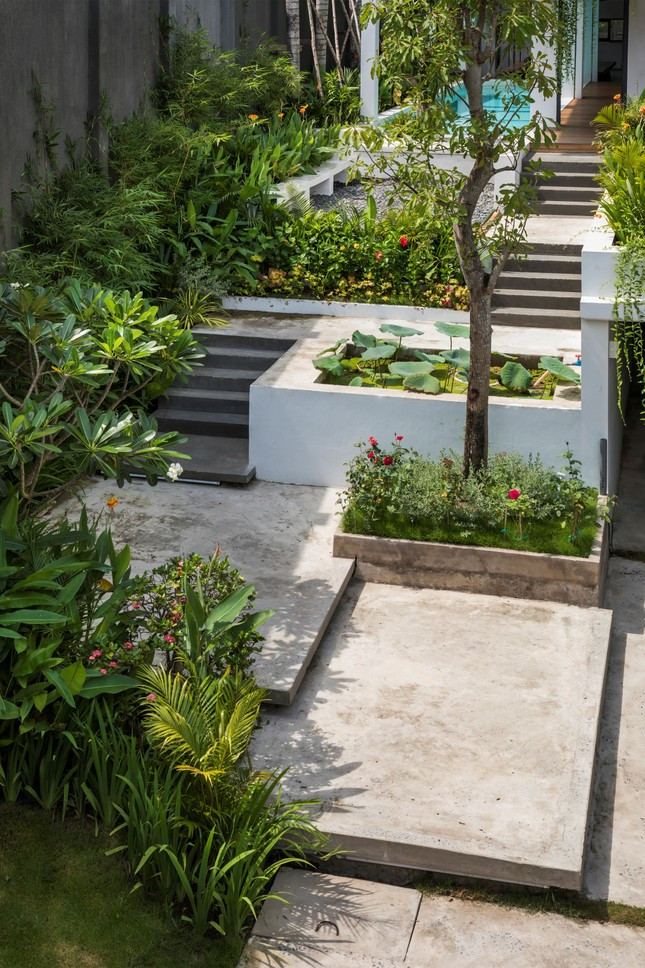 Mặt bằng tầng trệt được nâng cao lên như một quả đồi nhỏ, xung quanh được phủ bởi hệ thống cây xanh giúp xóa đi sự ngăn cách giữa bên trong và bên ngoài.