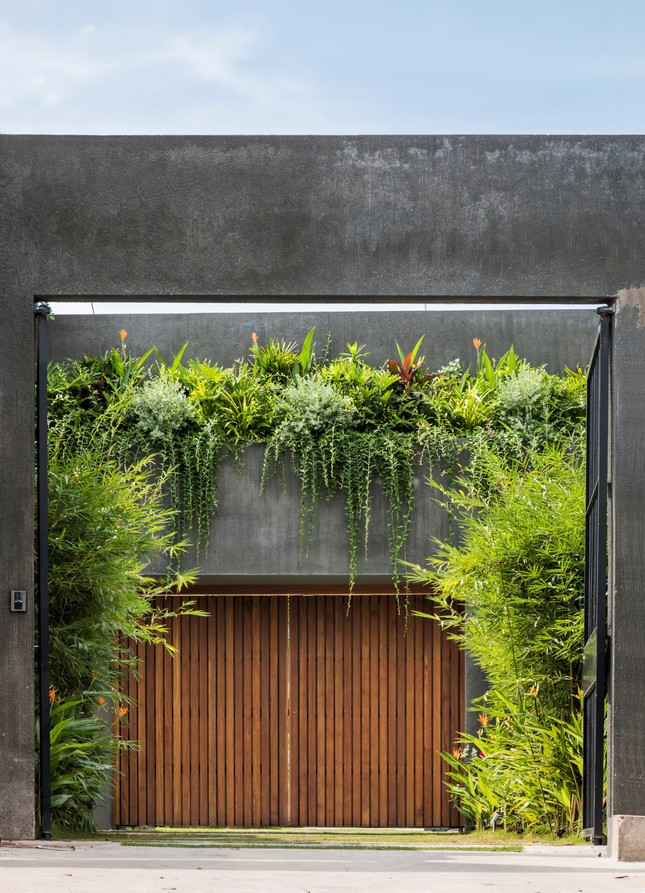 Ngay từ cổng vào là một sinh thái với rất nhiều cây xanh khác nhau.