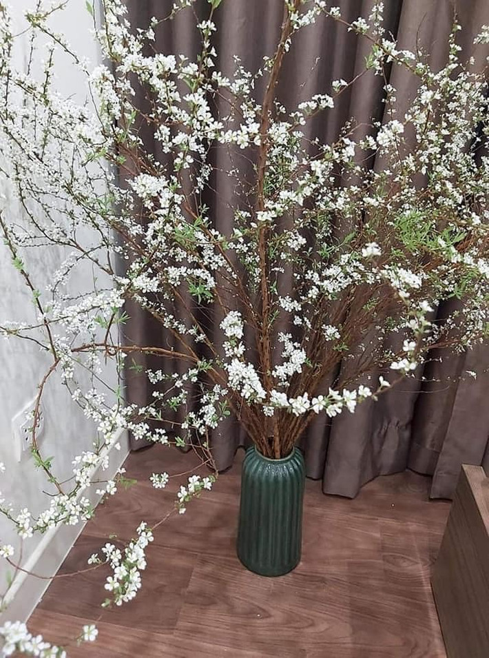 Theo kinh nghiệm của người chơi, nên chọn những cành tuyết mai có cả nụ và bông nhỏ mọc đủ từ trên xuống dưới.