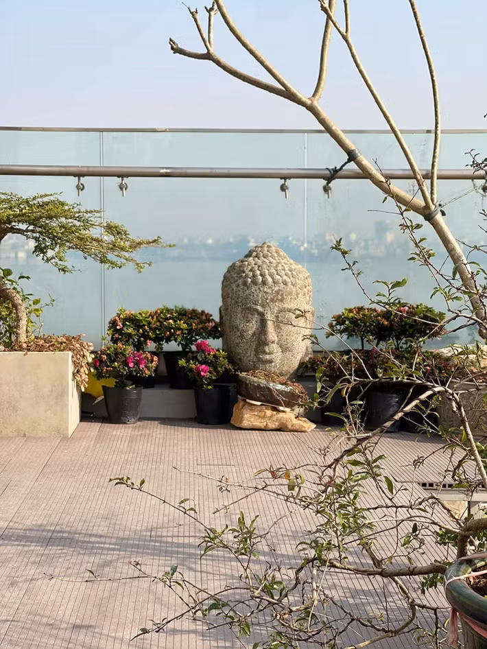 Trên sân thượng, vợ chồng Tùng Dương trồng rất nhiều cây xanh. Ảnh: FB Tung Duong